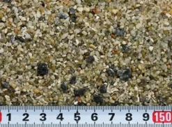 10 Liter Vogelsand -Megapetshop Verkaufsladen 1020liter20fuglesand1 p