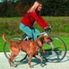 Trixie Fahrrad- Und Jogging Hundeleine Von 1 Bis 2 Metern