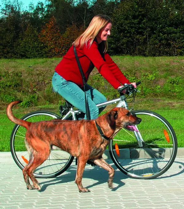 Trixie Fahrrad- Und Jogging Hundeleine Von 1 Bis 2 Metern 3 Trixie Fahrrad- Und Jogging Hundeleine Von 1 Bis 2 Metern