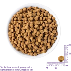 CORE Hundefutter Für Welpen Mit Huhn - Getreidefrei -Megapetshop Verkaufsladen 1520kg20CORE20hvalpe20hundefoder20med20kylling20 20kornfrit p