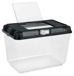 Trixie Transport- Und Futterbox - 38 X 26 X 24 Cm - Farblich Sortiert