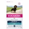 2,5 Kg Eukanuba Dackel Hundefutter Mit Huhn Von 1 - 7 Jahre 2 2,5 Kg Eukanuba Dackel Hundefutter Mit Huhn Von 1 - 7 Jahre -Megapetshop Verkaufsladen 2 5 kg Eukanuba Gravhund hundefoder med kylling fra 1 til 7 aar p