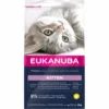 Eukanuba Kätzchenfutter Mit Huhn Und Reis - Von 1 Bis 12 Monaten -Megapetshop Verkaufsladen 2 kg Eukanuba killingefoder med kylling og ris fra 1 til 12 mdr p