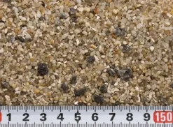 25 Kg Vogelsand Ohne Muscheln -Megapetshop Verkaufsladen 2520kg20fuglesand20uden20skaller1 p