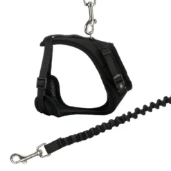 Trixie Katzen Y-Geschirr Mit Elastischer Leine 39 - 60 Cm 10 Mm 1 M - Farblich Sortiert -Megapetshop Verkaufsladen 265060 PHO PRO CLIP 41890 7 p