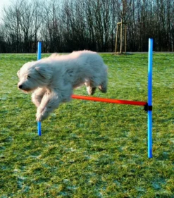 Trixie Hundetraining - Agility-Sprung - 115 Cm