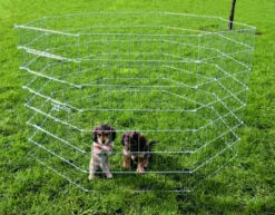 Trixie Welpenauslauf 8-eckig 8 X 61 X 91 Cm