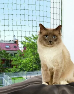 Trixie Schutznetz Verstärkt 8 X 3 M - Olivgrün