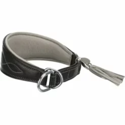 Trixie Active Hundehalsband Mit Anti-Zug-Funktion Für Kleine Hunde