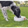 Trixie Outdoor Wasserspender Für Hunde 1,5 L 24 X 10 X 23 Cm -Megapetshop Verkaufsladen Automatic Outdoor Water Trough 15 l 24 x 10 x 23 cm white 4011905243955 p