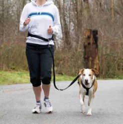 Trixie Gürtel Mit Hundeleine - Gürtel Taillenumfang 75 Bis 120 Cm