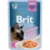 Brit Katzennassfutter Mit Lachsfiletstücken In Sauce Für Sterilisierte Katzen 24 Stück X 85 G -Megapetshop Verkaufsladen Brit Premium Cat Delic Fillets Gravy w Salmon f Steril 85g 8595602518562 p