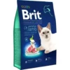 8 Kg Brit Premium By Nature Sensitive Katzenfutter Mit Lammfleisch Für Katzen 1 Bis 7 Jahre -Megapetshop Verkaufsladen Brit Premium by Nature Sensitive Lamb 8 kg 8595602553266 p