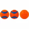 CHUCKIT Fetch Medley Hundespielzeug Bälle 3 Stück -Megapetshop Verkaufsladen CHUCKIT Fetch Medley bolde M 3 stk 029695470899 p