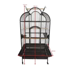 Companion Papageienkäfig Brasilien 81,4 X 58,5 X 168,5 Cm -Megapetshop Verkaufsladen Companion Papegoejebur Brazil 9 p