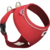 Curli Basic Hundegeschirr Air-Mesh Für Hunde Bis Ca. 18 Kg
