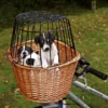 Trixie Fahrradkorb Mit Gitter Für Hunde Bis 5 Kg 44 X 48 X 33 Cm 1 Trixie Fahrradkorb Mit Gitter Für Hunde Bis 5 Kg 44 X 48 X 33 Cm -Megapetshop Verkaufsladen Cykelkurv m gitter til hunde max 8 kg 44 x 48 x 33 p