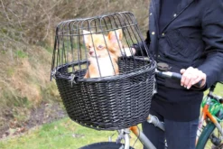 Trixie Fahrradkorb Mit Gitter Für Hunde Bis 5 Kg 50 X 41 X 35 Cm