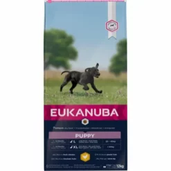 Eukanuba Puppy Large Breed Welpenfutter Mit Huhn 4 Wochen Bis 12 Monate