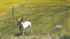 Hundehütte Für Kleine Welpen Umfang Ø 140 Cm Höhe 61 Cm -Megapetshop Verkaufsladen H3286 dogpark p