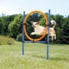 Trixie Hundetraining - Agility-Ring ø 65 Cm -Megapetshop Verkaufsladen Hundetraening Agility ring oe 65 cm p