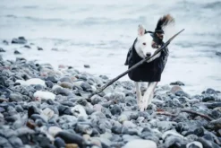 Hurtta Drizzle Hundejacke - Viele Größen -Megapetshop Verkaufsladen Hurtta Drizzle jakke 2 p