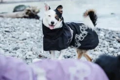 Hurtta Drizzle Hundejacke - Viele Größen -Megapetshop Verkaufsladen Hurtta Drizzle jakke p