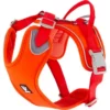Hurtta ECO Weekend Warrior Hundegeschirr Ergonomisch Und Gut Geeignet Für Aktive Hunde 2 Hurtta ECO Weekend Warrior Hundegeschirr Ergonomisch Und Gut Geeignet Für Aktive Hunde -Megapetshop Verkaufsladen Hurtta Weekend Warrior ECO sele 40 45 cm Orange 6410329334344 p