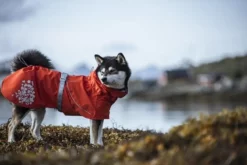 Hurtta Hundemantel Monsoon ECO Orange Größe 20 Cm - Brustumfang Von 25 Bis 35 Cm -Megapetshop Verkaufsladen Hurtta20hundefrakke20Monsoon20ECO20orange201 p