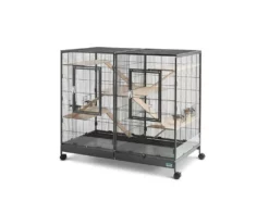 Indoor-Vogelkäfig Tasmanien 120 X 65 X 107 Cm -Megapetshop Verkaufsladen IndendC3B8rs20fuglebur20Tasmania2012020x206520x2010720cmc p