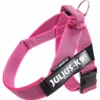 Julius K9 Ergonomisches Hundegeschirr Für Alle Hundearten 2 Julius K9 Ergonomisches Hundegeschirr Für Alle Hundearten -Megapetshop Verkaufsladen K9 C G IDC Baeltesele str 0 pink brystmaal 58 76cm 5999053661878 p