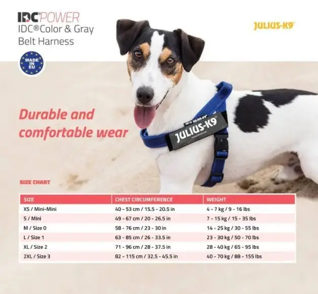Julius K9 Ergonomisches Hundegeschirr Für Alle Hundearten 5 Julius K9 Ergonomisches Hundegeschirr Für Alle Hundearten – Bild 3