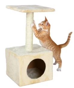 Trixie Katzenkratzbaum Zamora 61 Cm Beige Für Kätzchen