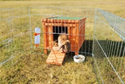 Trixie Natura Kaninchenstall 42 X 43 X 51 Cm