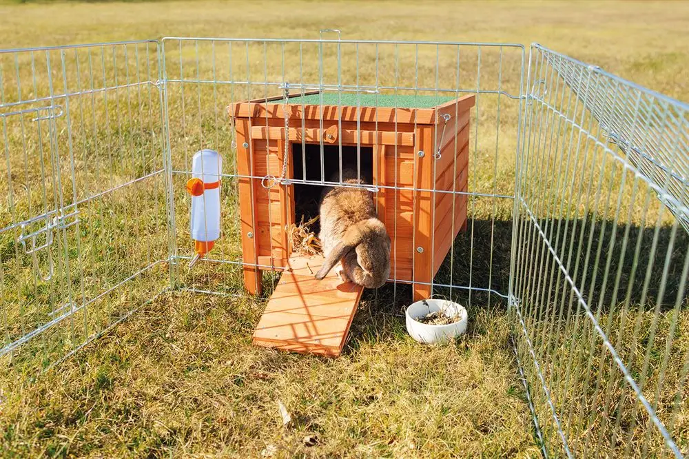 Trixie Natura Kaninchenstall 42 X 43 X 51 Cm 3 Trixie Natura Kaninchenstall 42 X 43 X 51 Cm