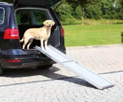 Trixie Hunderampe Für Das Auto 100 Bis 180 Cm Hunde Bis 120 Kg