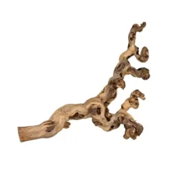 Trixie Weinrebe Wassergestrahlt - 50 - 80 Cm